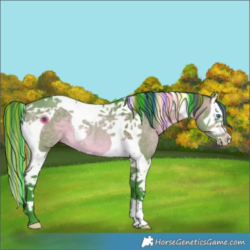Horse Color:Painted Watercolor Brown Dun Splash Tobiano Rabicano 