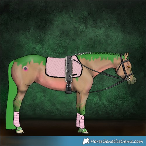 Horse Color:Watercolor Grullo Tobiano Rabicano 