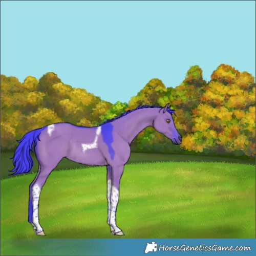 Horse Color:Watercolor Grullo Tobiano Rabicano 