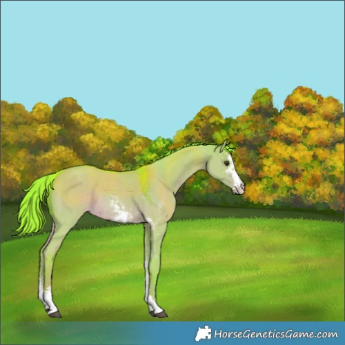 Horse Color:Watercolor Liver Red Dun Sabino Rabicano 