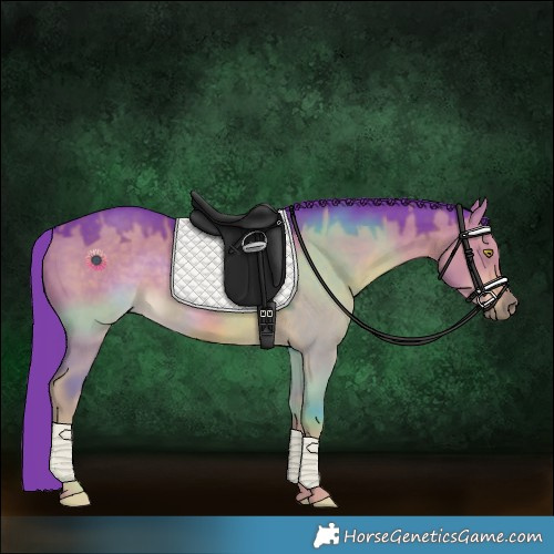 Horse Color:Watercolor Liver Red Dun Rabicano 