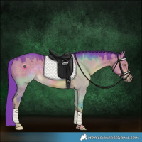 Horse Color:Watercolor Liver Red Dun Rabicano 