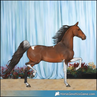Horse Color:Bay Tobiano 