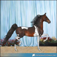 Horse Color:Brown Tobiano 
