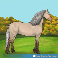 Horse Color:Silver Bay Dun