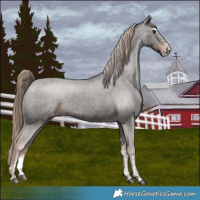 Horse Color:Liver Chestnut Sabino Splash Varnish  and Liver Chestnut Sabino Splash Varnish 
