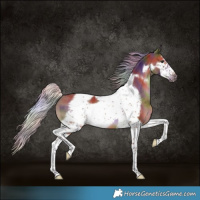 Horse Color:Nacre Silver Brown Tobiano Frame 