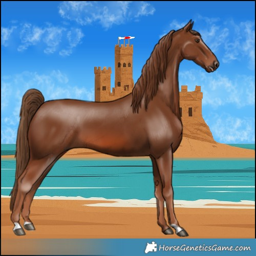 Horse Color:Chestnut 