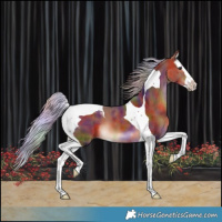 Horse Color:Nacre Silver Brown Splash Tobiano 