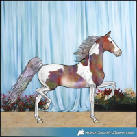 Horse Color:Nacre Silver Brown Splash Tobiano 