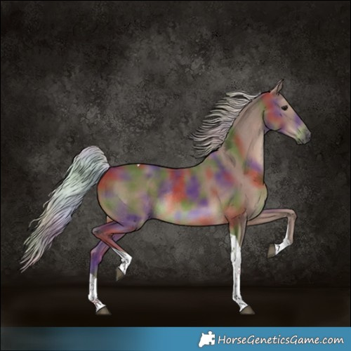 Horse Color:Nacre Silver Black Tobiano Rabicano 