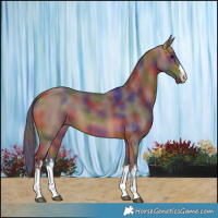 Horse Color:Nacre White Spotted Bay 