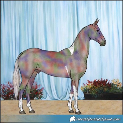 Horse Color:Nacre Silver Black Tobiano 