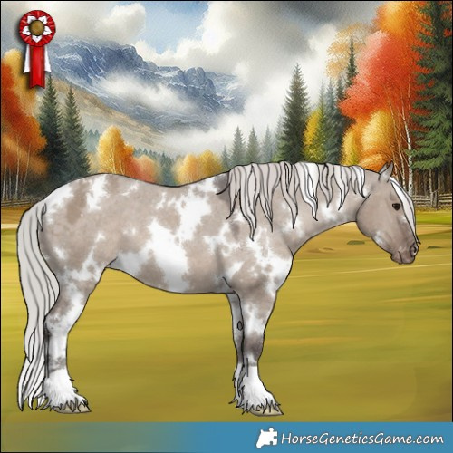 Horse Color:White Spotted Silver Grullo Appaloosa 