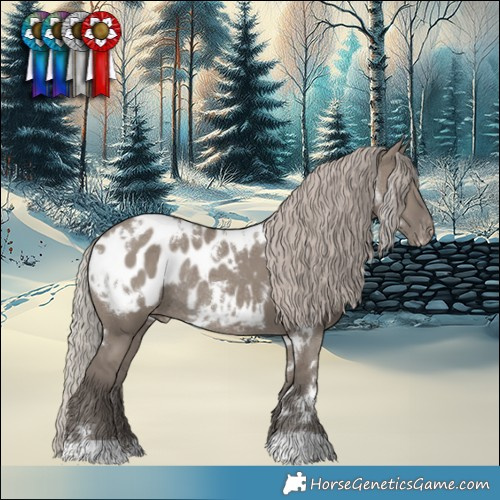 Horse Color:White Spotted Silver Grullo Blanket Rabicano 