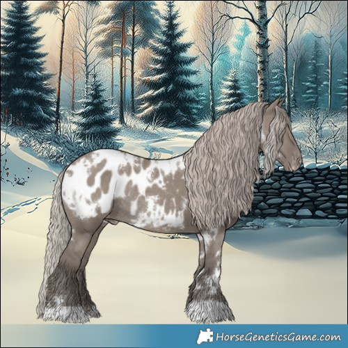 Horse Color:White Spotted Silver Grullo Appaloosa Rabicano 