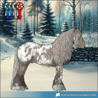 Horse Color:White Spotted Silver Grullo Blanket Rabicano 