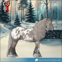 Horse Color:White Spotted Silver Grullo Blanket Rabicano 