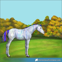 Horse Color:Painted Watercolor White Spotted Black Ice Tobiano 