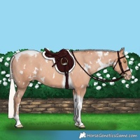 Horse Color:White Spotted Silver Sable Champagne Tobiano Varnish