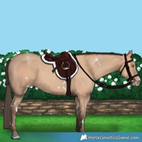 Horse Color:White Spotted Amber Champagne 