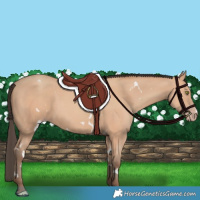 Horse Color:White Spotted Amber Champagne 