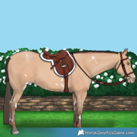 Horse Color:White Spotted Amber Champagne 