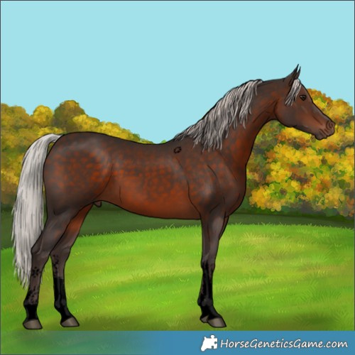 Horse Color:Void White Spotted Silver Brown 