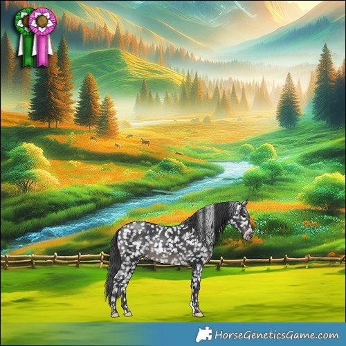 Horse Color:Black Snowflake VarnishRabicano 