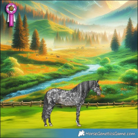 Horse Color:Black Appaloosa Rabicano 