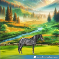Horse Color:Black Appaloosa Rabicano 
