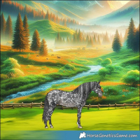 Horse Color:Black Appaloosa Rabicano