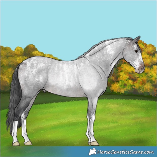 Horse Color:Powder White Brown Roan 