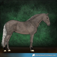 Horse Color:Void Silver Black 