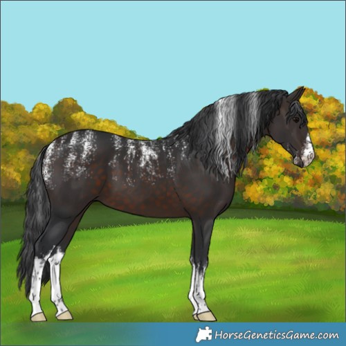 Horse Color:Powder White White Spotted Brown 