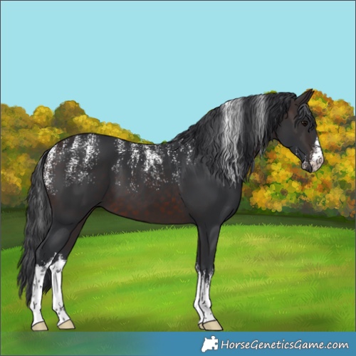Horse Color:Powder White White Spotted Brown 
