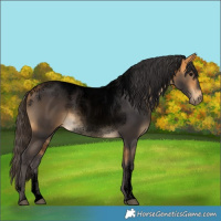 Horse Color:Powder White Void Buckskin Rabicano