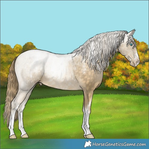 Horse Color:Powder White Buckskin Pearl 