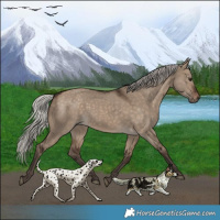 Horse Color:Silver Brown Dun 