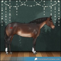 Horse Color:Brown Tobiano Rabicano 