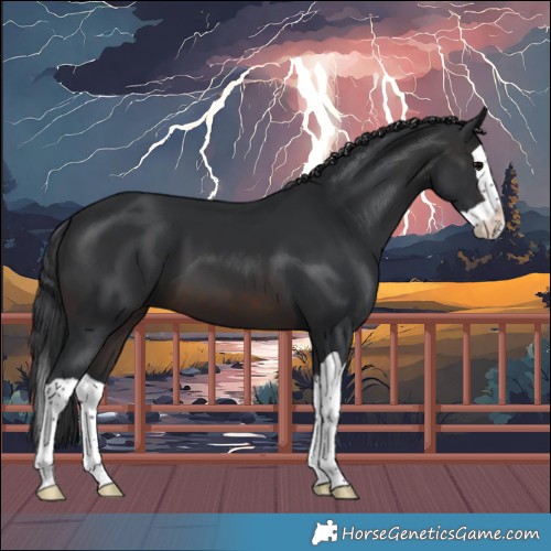 Horse Color:Brown Splash 