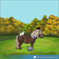 Horse Color:Gray Chocolate Palomino 