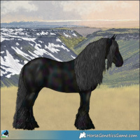 Horse Color:Midnight Black 