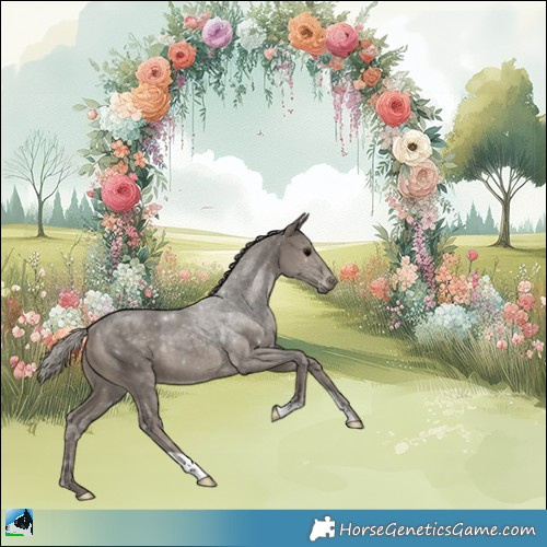 Horse Color:Silver Black Rabicano 