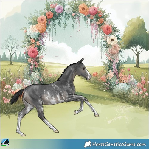 Horse Color:Black Sabino Rabicano 