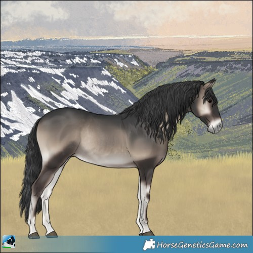 Horse Color:Blue Onyx Rabicano