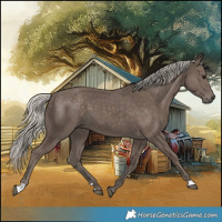 Horse Color:Silver Black