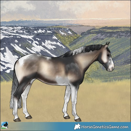 Horse Color:Brown Onyx Mushroom Tobiano 
