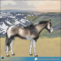 Horse Color:Brown Onyx Mushroom Tobiano 