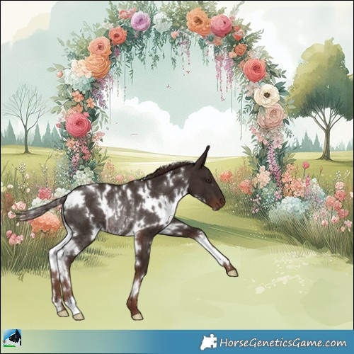 Horse Color:White Spotted Liver Chestnut Rabicano 